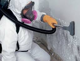 Best Commercial Mold Inspection  in Avodo Heights, CA